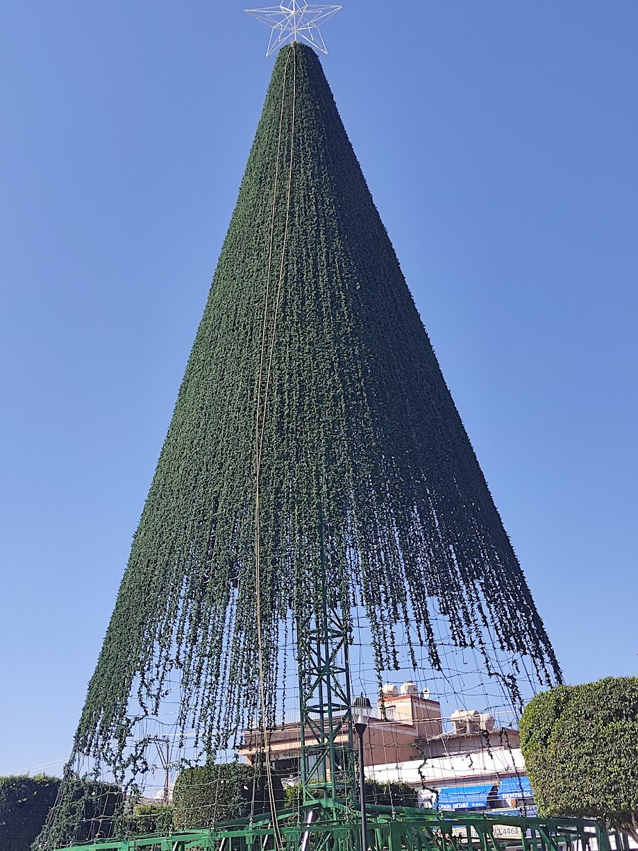 IMG